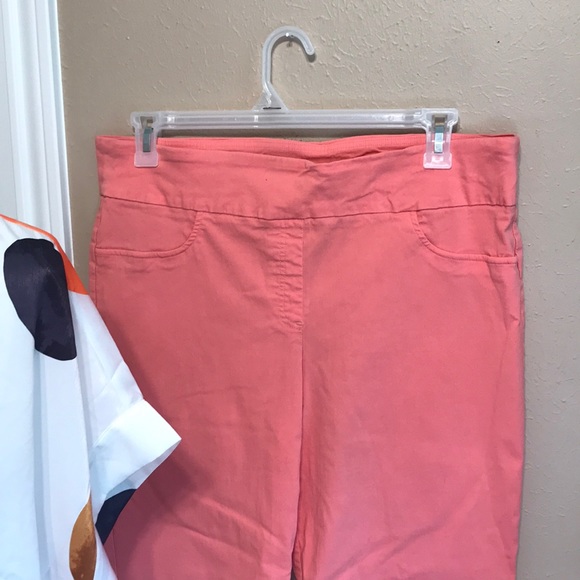 Ruby Rd. Stretch capris 18 blouse sold separate - Picture 3 of 5